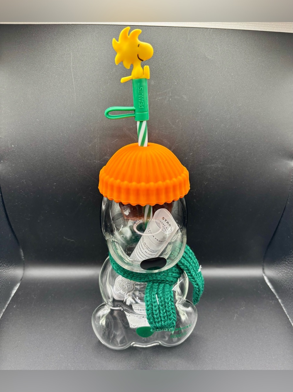 Starbucks X Peanuts Snoopy Limited Edition Glass Straw Cup With stopper 20oz NEW